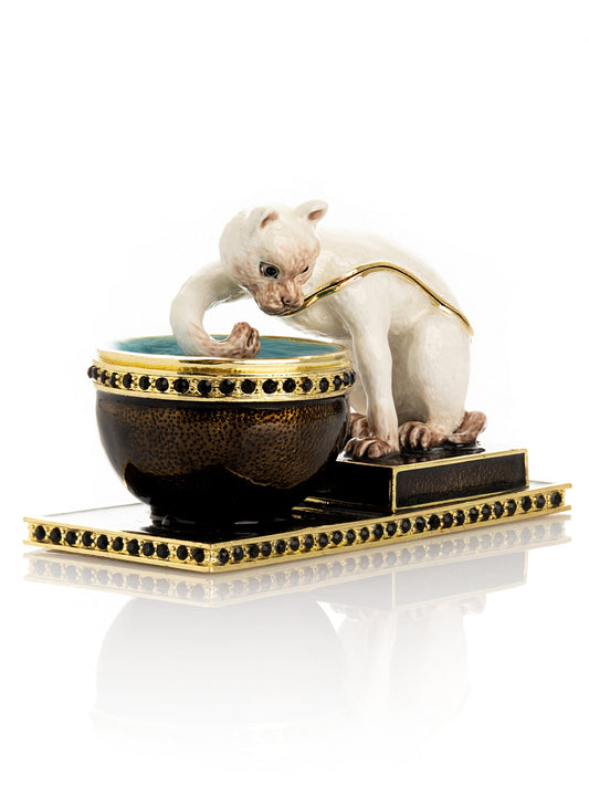Curious Cat  & Fish Limited edition of 250 Trinket Box